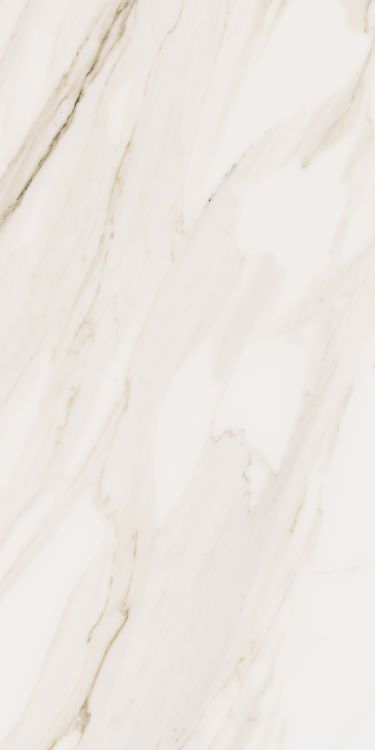 Omnia Calacatta Levigato 12 x 24